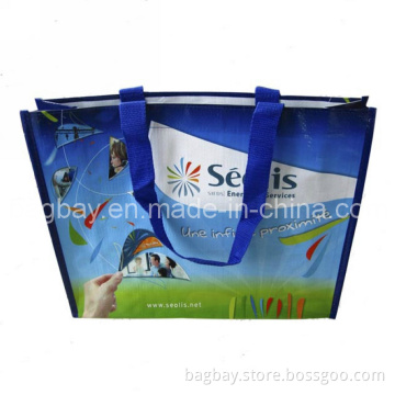 PP Woven Shopping Bag (PPBG09-027)